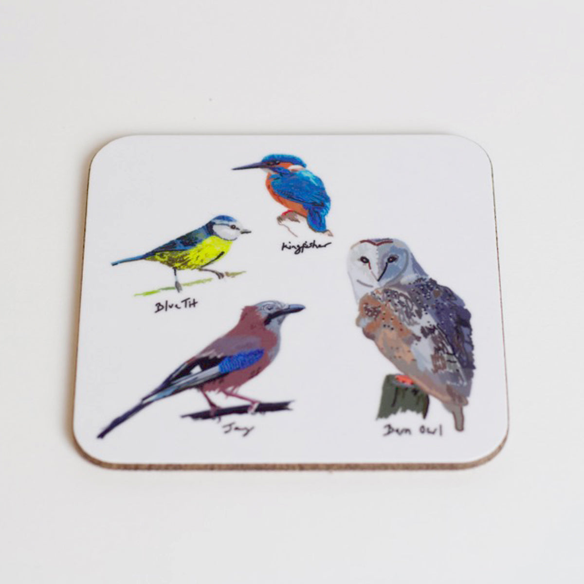 British Birds Coasters