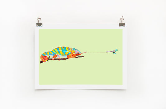 Chameleon  |  Digital Print