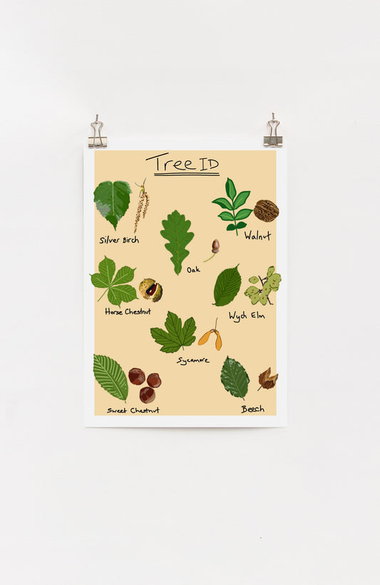 Tree identification A4 digital Print