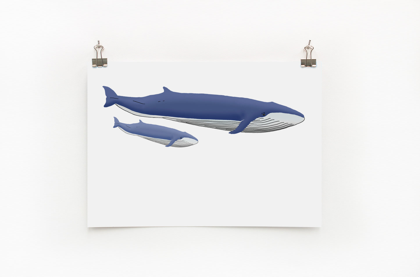 A digital print of two blue whales, one adult and one calf, against a white background, hanging on a wall.