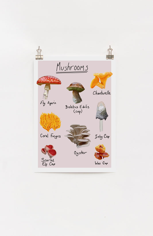 A4 digital print with various illustrations of common UK mushrooms, displayed on a white wall.