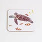 Set of Underwater Coasters