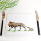 Set of Africa Animal Placemats