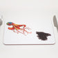 Octopus Placemat