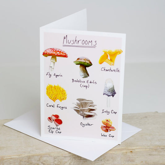 Mushrooms Greetings Card