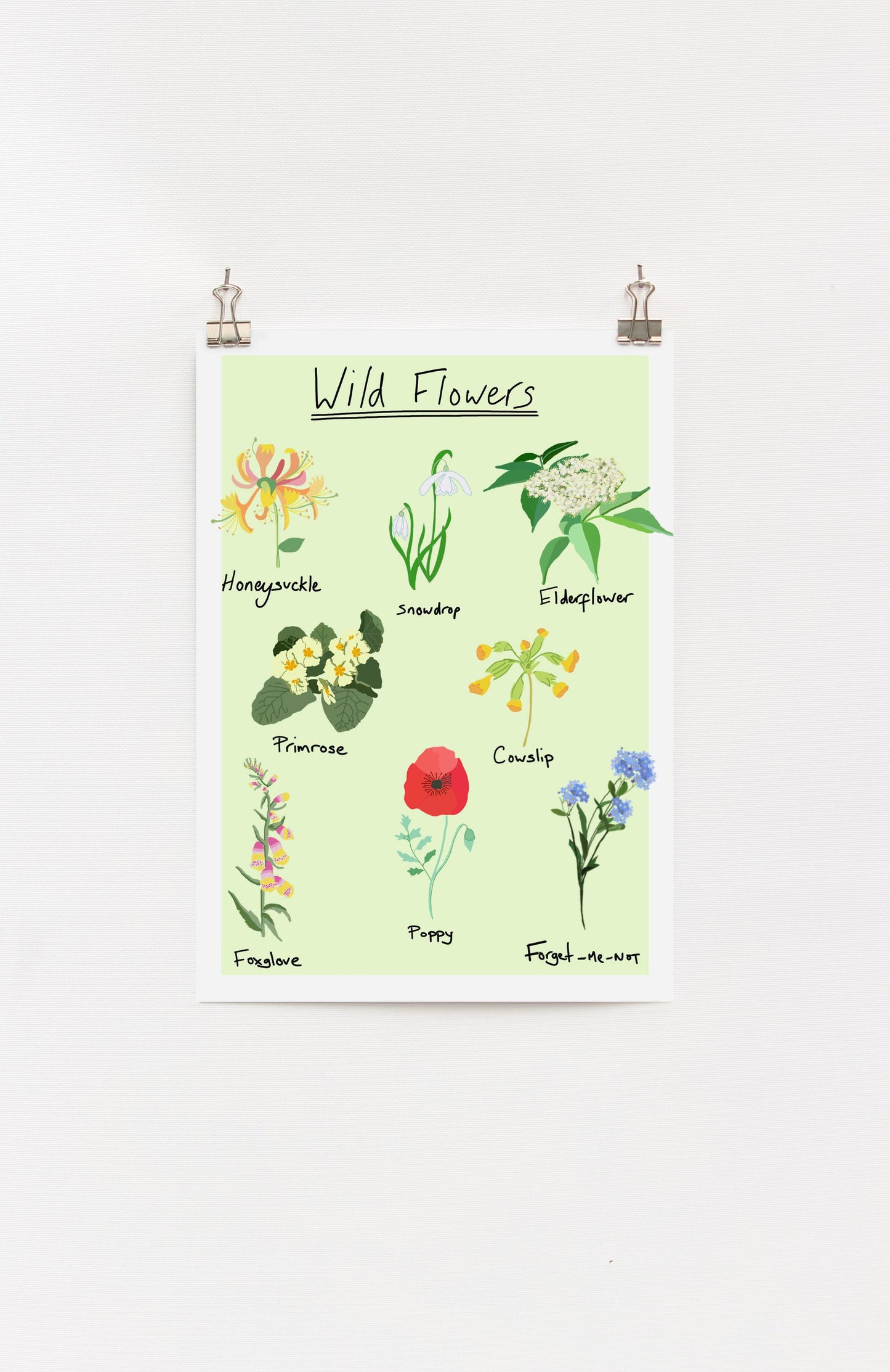 Wild Flowers A4 digital Print