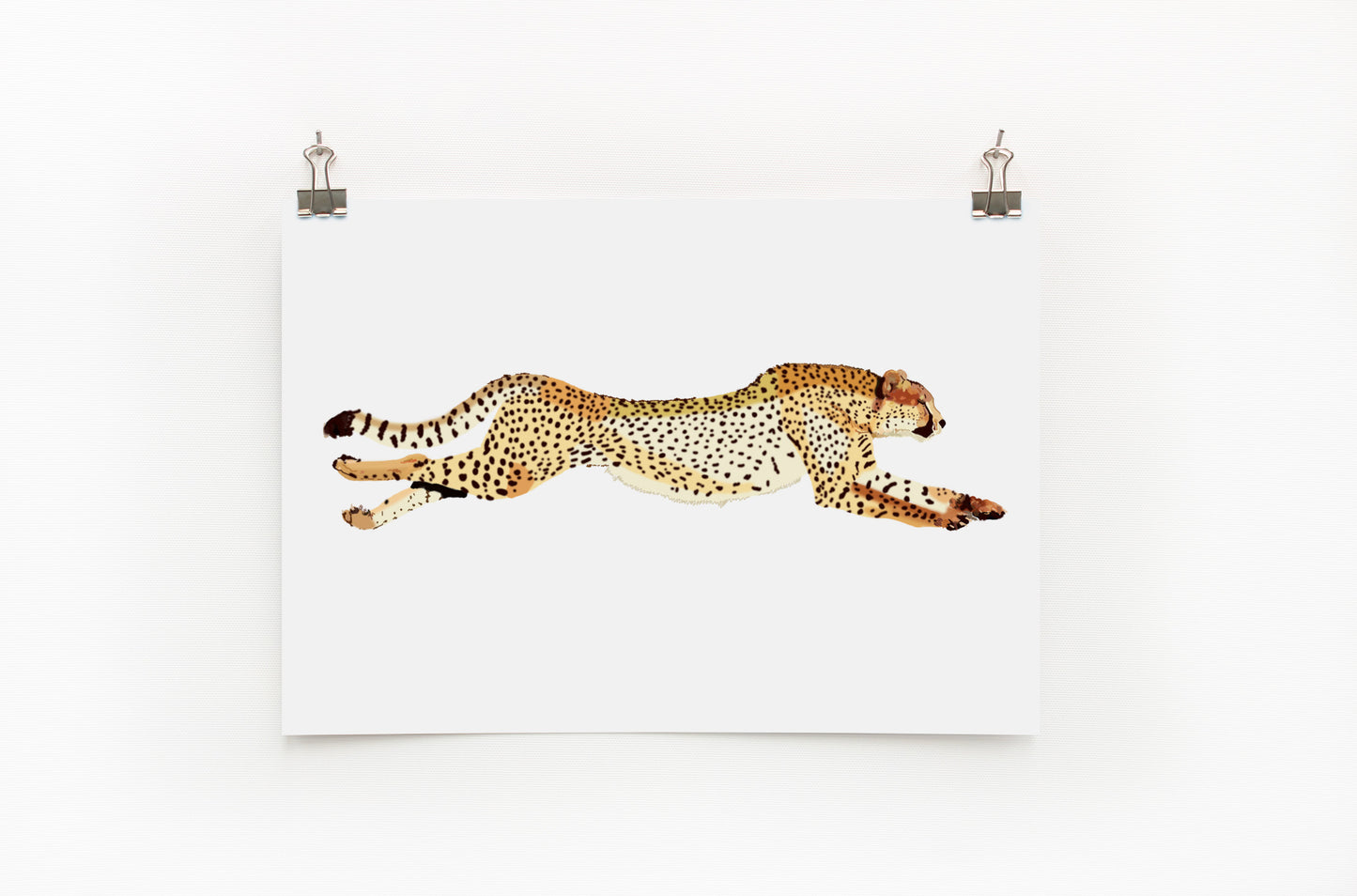 Cheetah  |  Digital Print