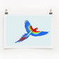 Parrot  |  Digital Print
