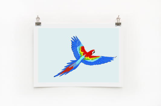 Parrot  |  Digital Print