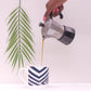 Set of Dazzle Mugs Bone China Mug