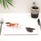 Octopus Placemat