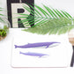 Blue Whales Placemat