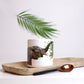 Set of African Animal Bone China Mugs