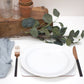 Black Splatter Placemat