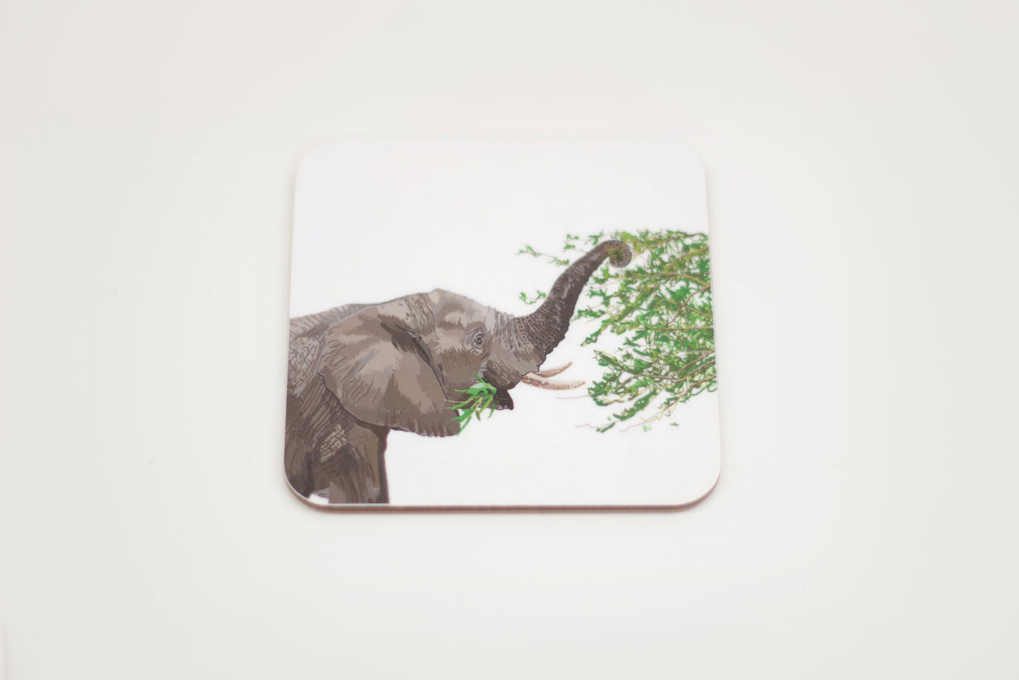 Set of Africa Coasters