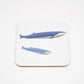 Set of Underwater Coasters
