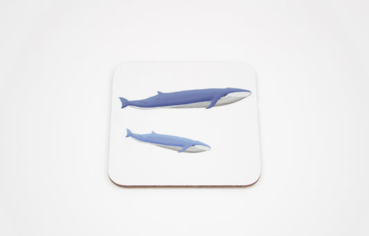 Blue Whales Coaster