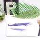 A placemat with an illustration of blue whales, alongside a fork, knife, and a decorative plant.