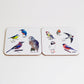 A set of two square coasters with various illustrations of British birds on them, displayed on a neutral background.