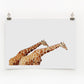 A digital print of two giraffes reaching their long necks across the paper, displayed on a white wall.