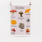 A4 digital print with various illustrations of common UK mushrooms, displayed on a white wall.