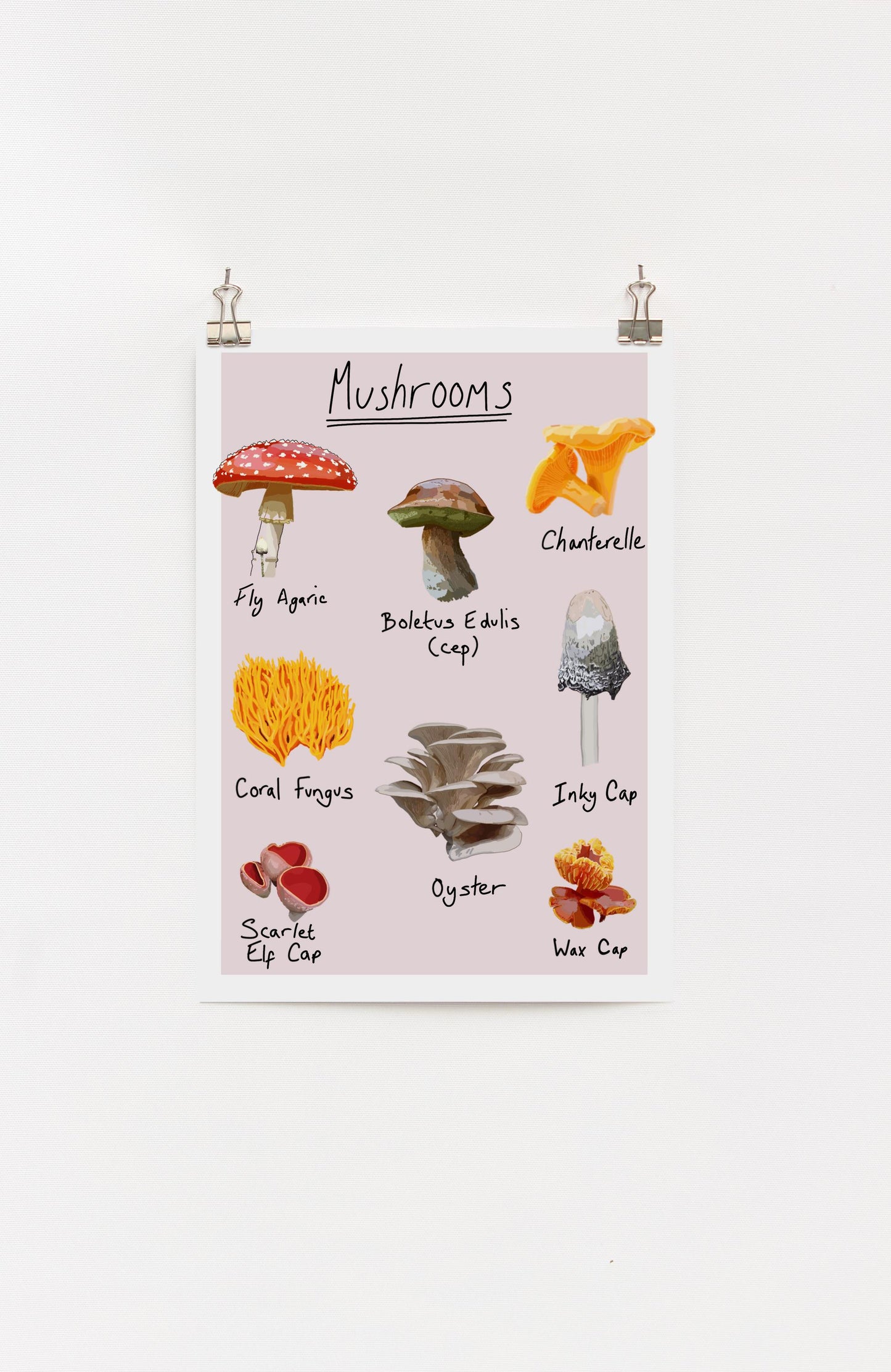 A4 digital print with various illustrations of common UK mushrooms, displayed on a white wall.