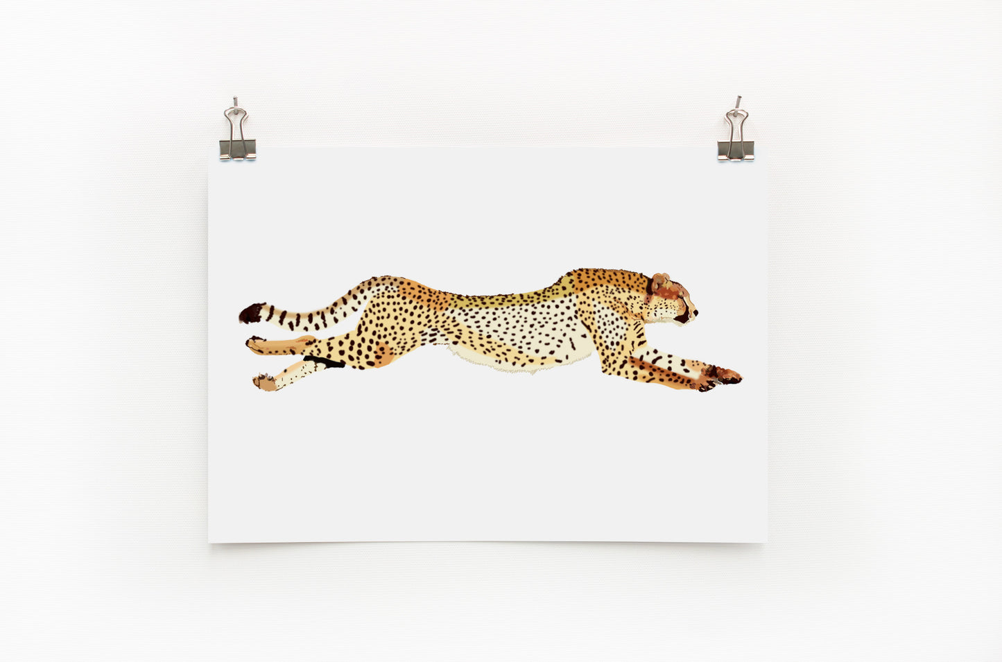 A digital print of a cheetah sprinting across a plain background, signed by the artist.
