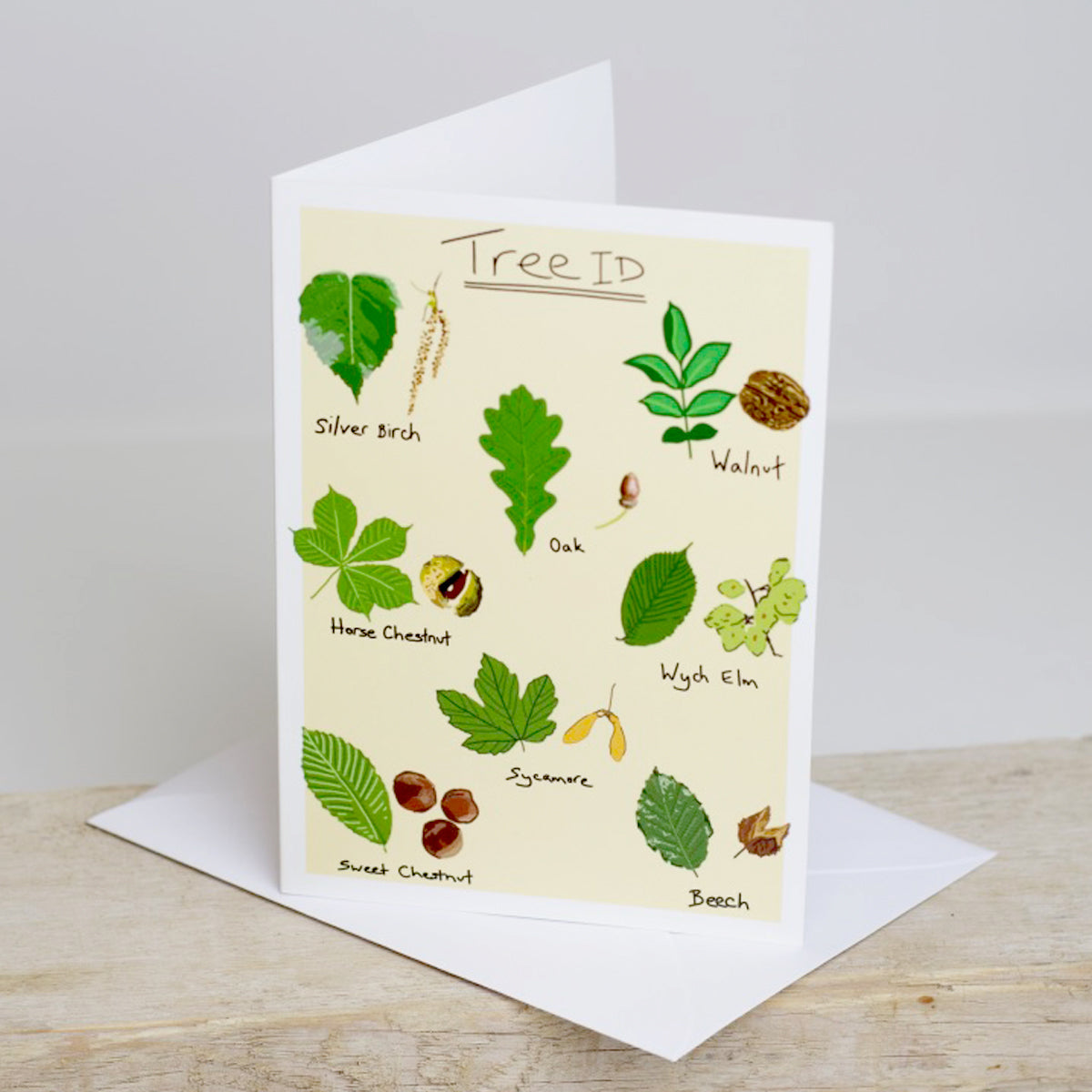 A greetings card with illustrations of various tree leaves labelled with their names, such as Silver Birch and Oak, with a 'Tree ID' title at the top.
