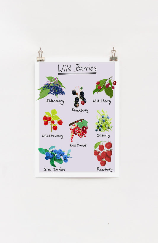 A digital print of various wild berries with labels, displayed on a wall.