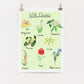 A digital print of wild flowers with a list of common UK wild flowers and their names, displayed on a white background.