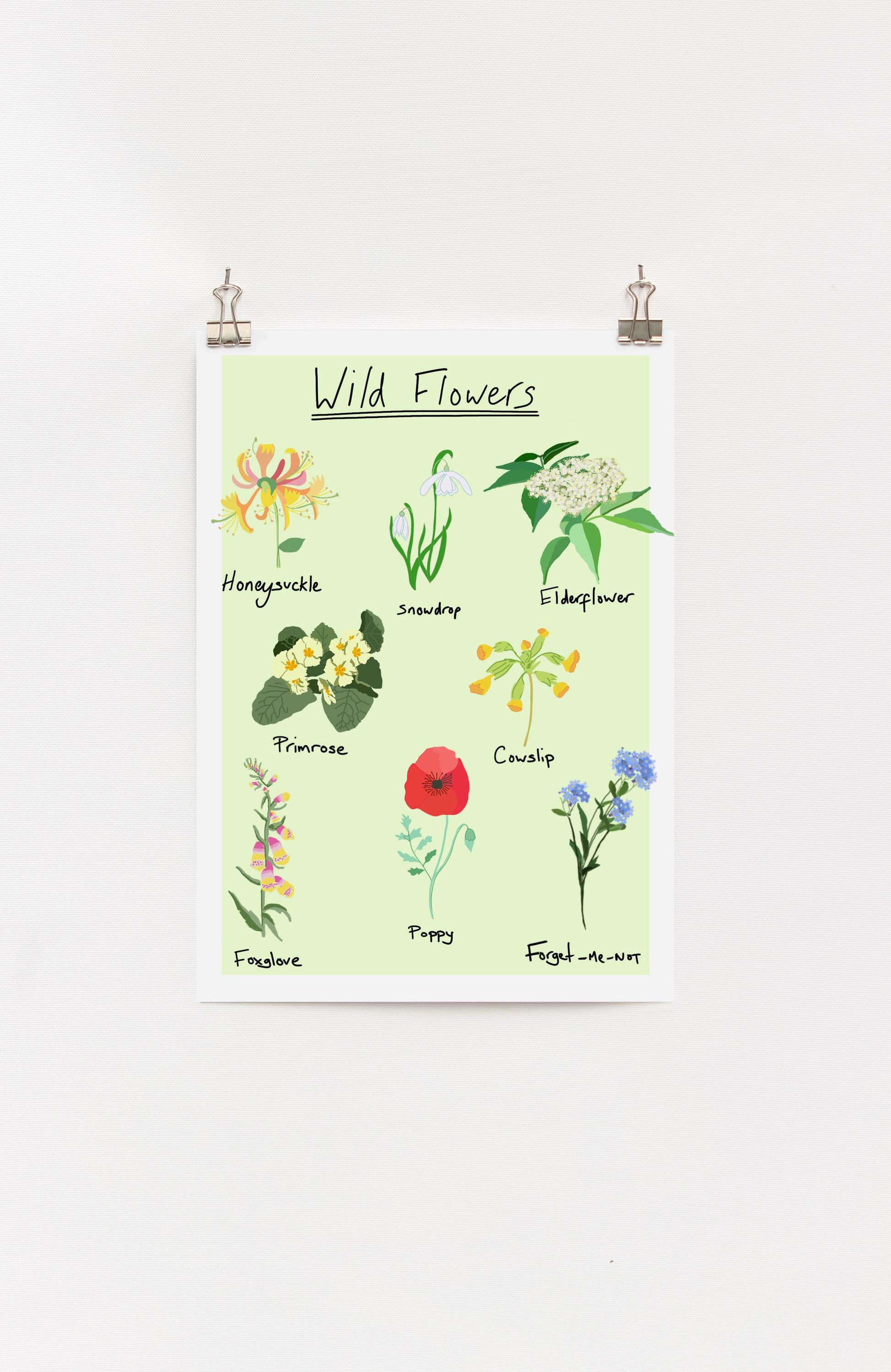 A digital print of wild flowers with a list of common UK wild flowers and their names, displayed on a white background.