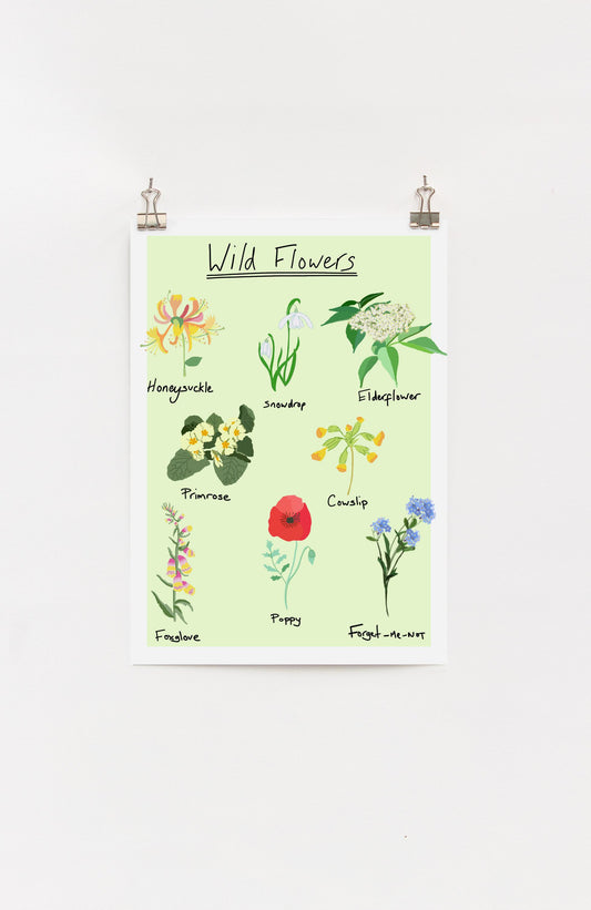 A digital print of wild flowers with a list of common UK wild flowers and their names, displayed on a white background.