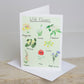 A greetings card with illustrations of various wild flowers, titled 'Wild Flowers'. There is a white envelope included.