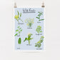 A digital print of various wild foods and with written labels, displayed on a light background, hung on a wall with clips.