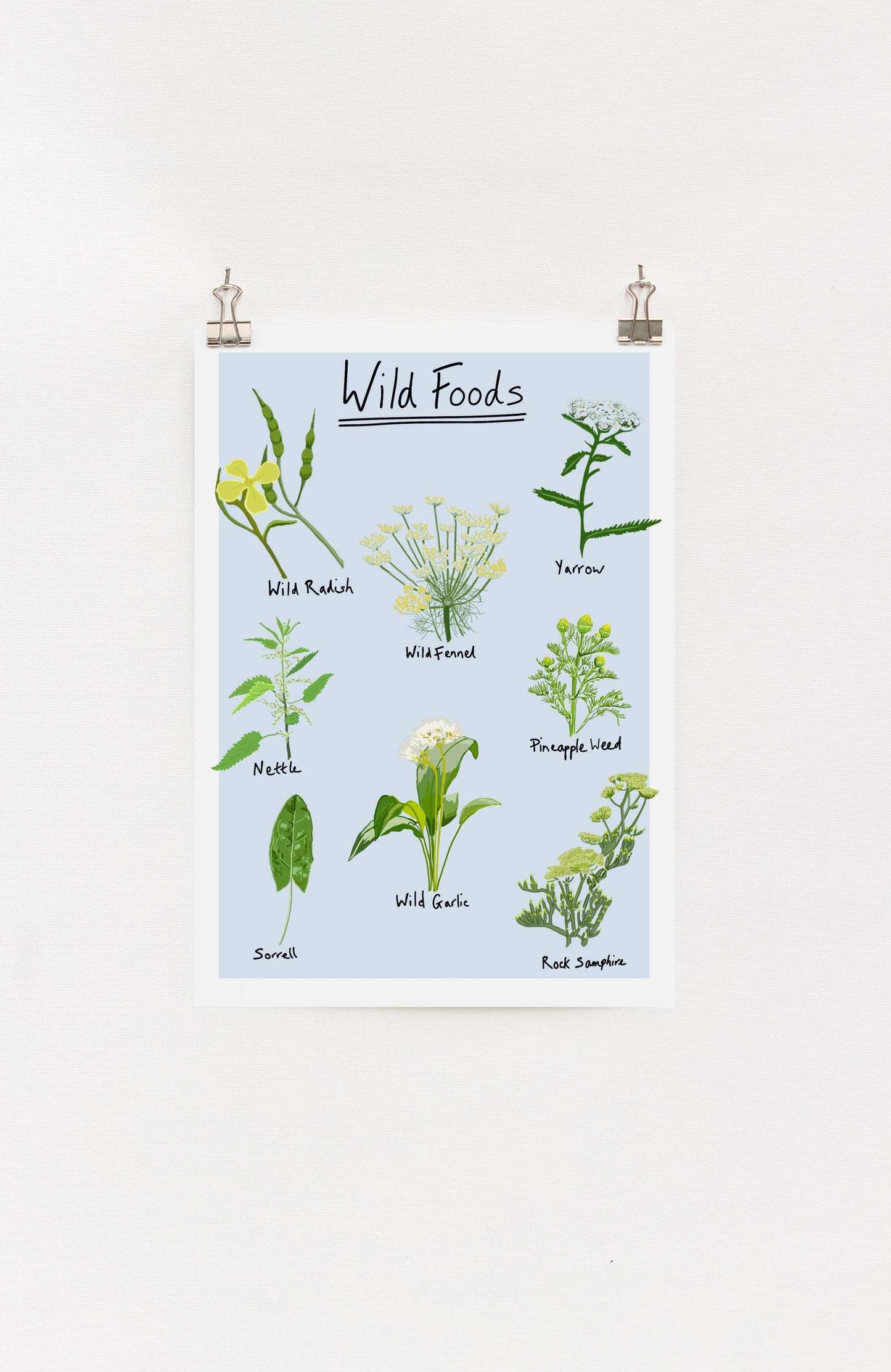 A digital print of various wild foods and with written labels, displayed on a light background, hung on a wall with clips.