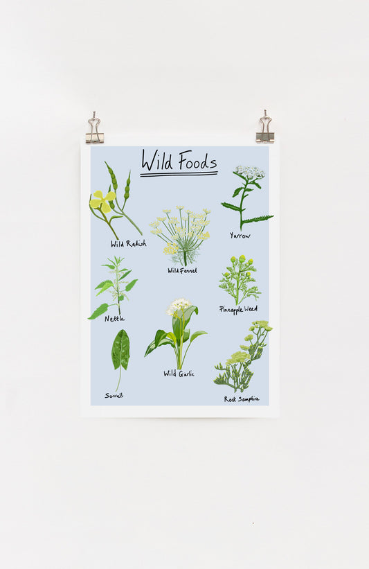 A digital print of various wild foods and with written labels, displayed on a light background, hung on a wall with clips.