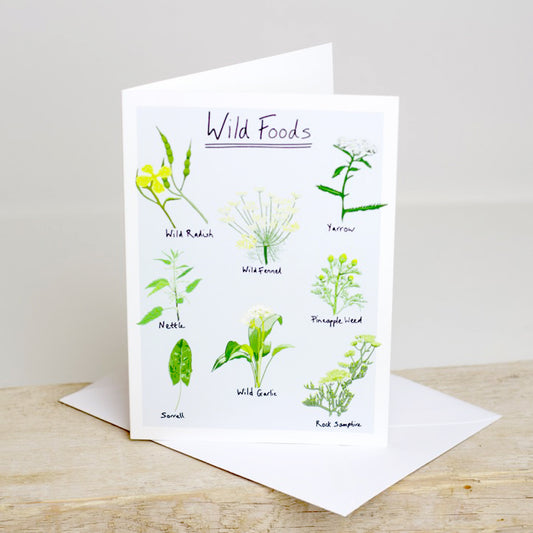 A greetings card with illustrations of various wild foods, with the title 'Wild Foods' at the top. The card is shown with a white envelope, placed on a wooden surface.